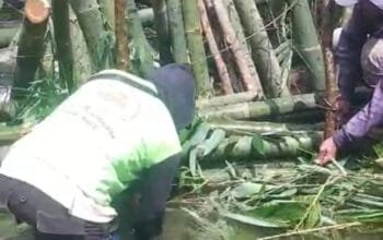 Saluran Irigasi Jebol, Puluhan Hektare Sawah dan Kolam Ikan di Pagaralam Terancam Kekeringan