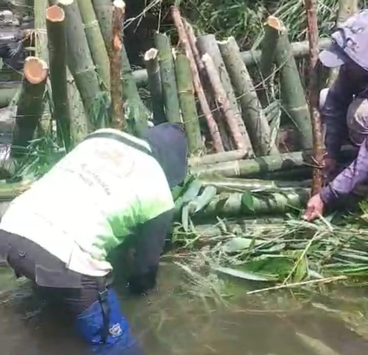 Saluran Irigasi Jebol, Puluhan Hektare Sawah dan Kolam Ikan di Pagaralam Terancam Kekeringan