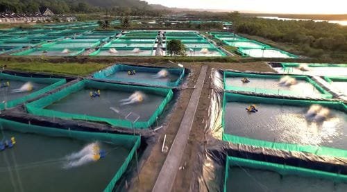 Pulau Nusakambangan Ubah Cara Pandang Warga Binaan