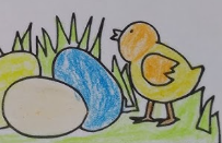 Mana Duluan: Ayam atau Telur? Pertanyaan Klasik yang Tak Pernah Mati