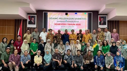 Bukan Sulap, 6 Varietas Unggul Baru Siap Genjot Panen