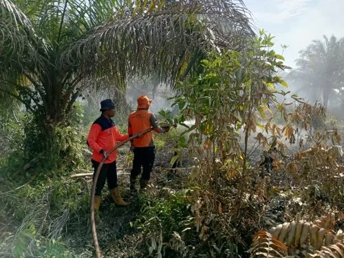BNPB Catat 24 Hotspot di Sumsel, Karhutla Diwaspadai