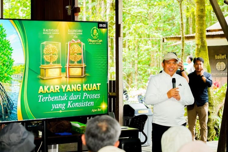 Mangrove Kaltim Jadi Blue Carbon, Kemenhut Perkuat Konservasi