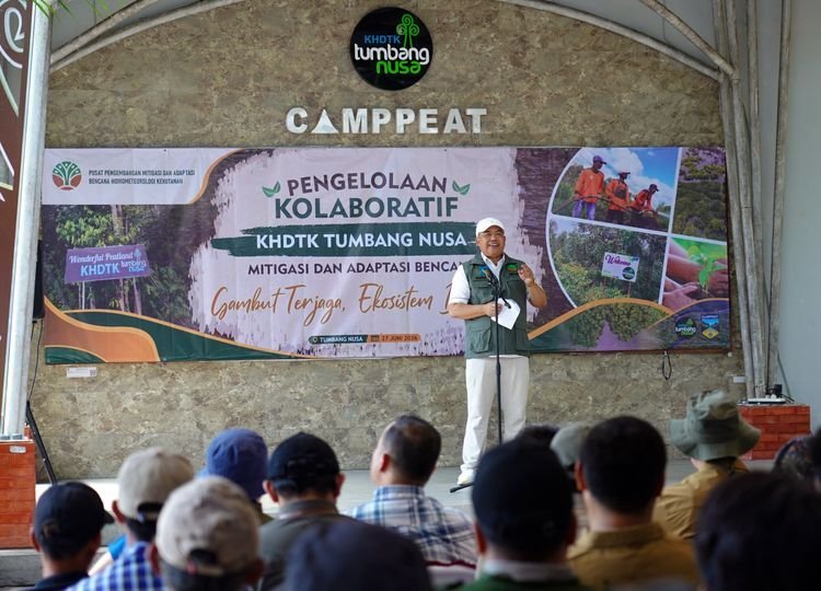 Rehabilitasi Gambut, Kok Lahan Bisa Pulih?