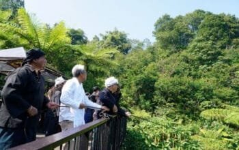 Elang Jawa Dilepasliarkan di Megamendung Bogor
