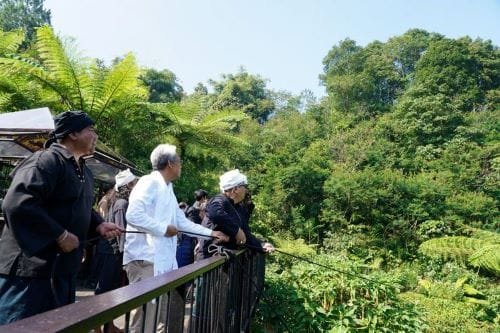 Elang Jawa Dilepasliarkan di Megamendung Bogor
