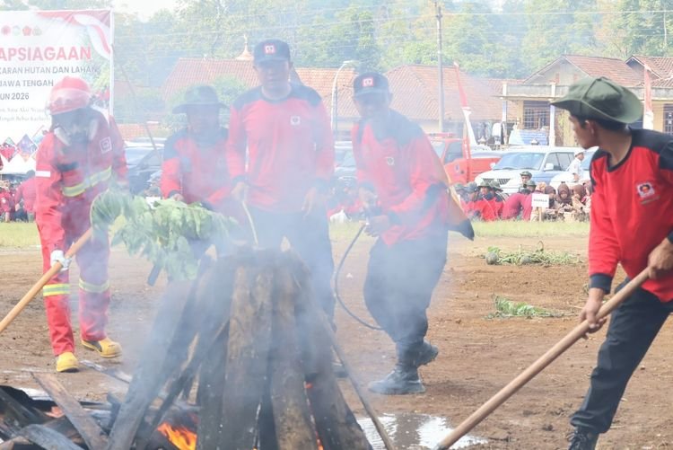Mengapa Musim Kemarau Rawan Kebakaran Hutan?