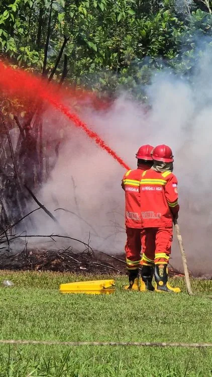 Langkah Cegah Karhutla yang Perlu Diketahui Warga
