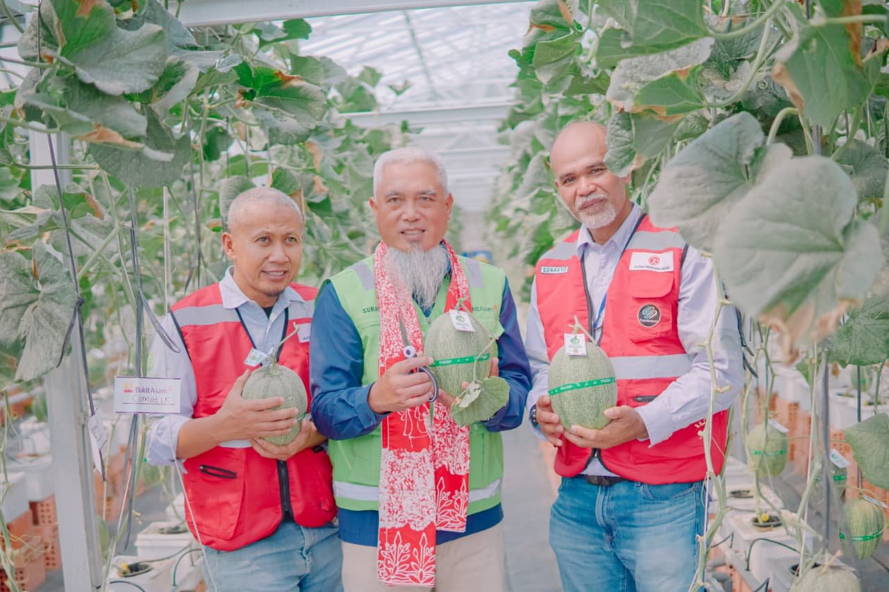 Panen 1.800 Melon Sekali Petik, Program Smart Greenhouse Ubah Wajah Desa Lingga