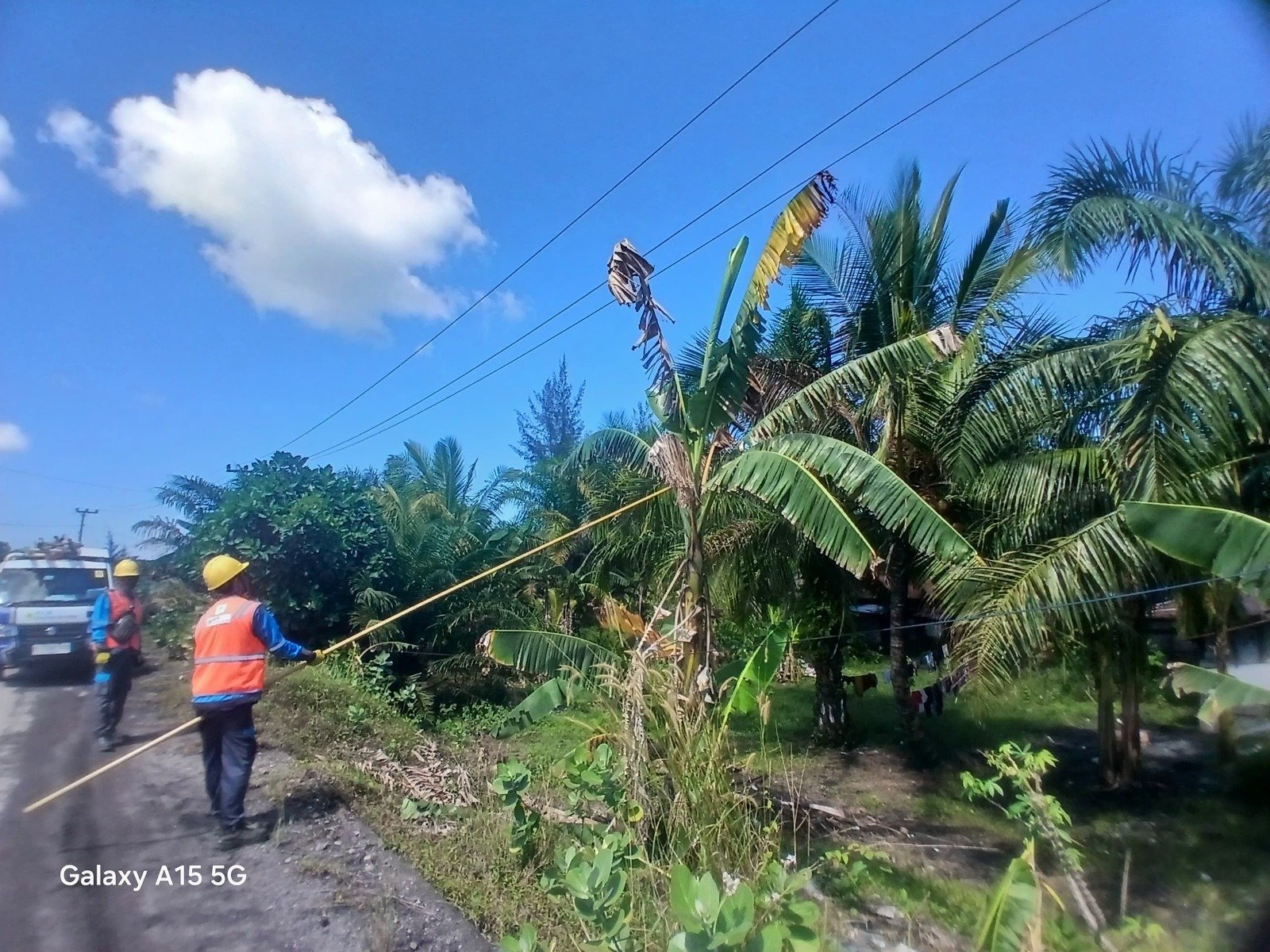 Antisipasi Gangguan Saat Musim Hujan, PLN Bengkulu Gencarkan Mitigasi Risiko Jaringan