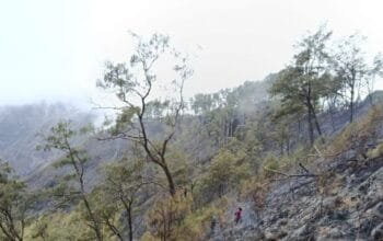 Api Lahap 282 Hektare Bukit Sempana, 25 Pendaki Dievakuasi
