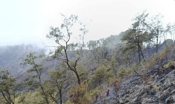 Api Lahap 282 Hektare Bukit Sempana, 25 Pendaki Dievakuasi