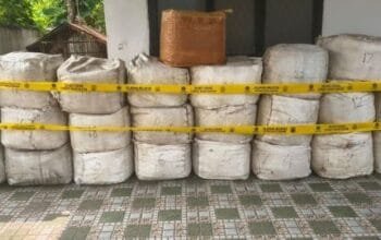 796 Kg Sisik Trenggiling Ditemukan di Kapal Kargo Vietnam