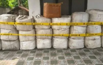 796 Kg Sisik Trenggiling Ditemukan di Kapal Kargo Vietnam