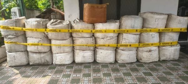 796 Kg Sisik Trenggiling Ditemukan di Kapal Kargo Vietnam