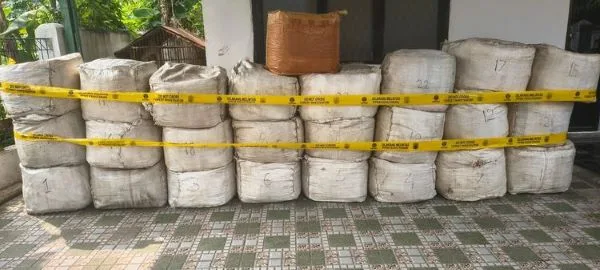 796 Kg Sisik Trenggiling Ditemukan di Kapal Kargo Vietnam