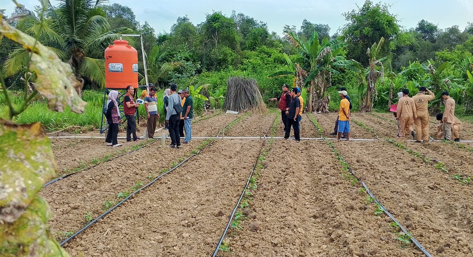 Polsri Kenalkan Irigasi Bawah Permukaan, Solusi Kekeringan bagi Petani Perkotaan