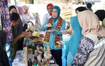 Bahasa Daerah Mulai Ditinggalkan, PKK Ingatkan Peran Keluarga
