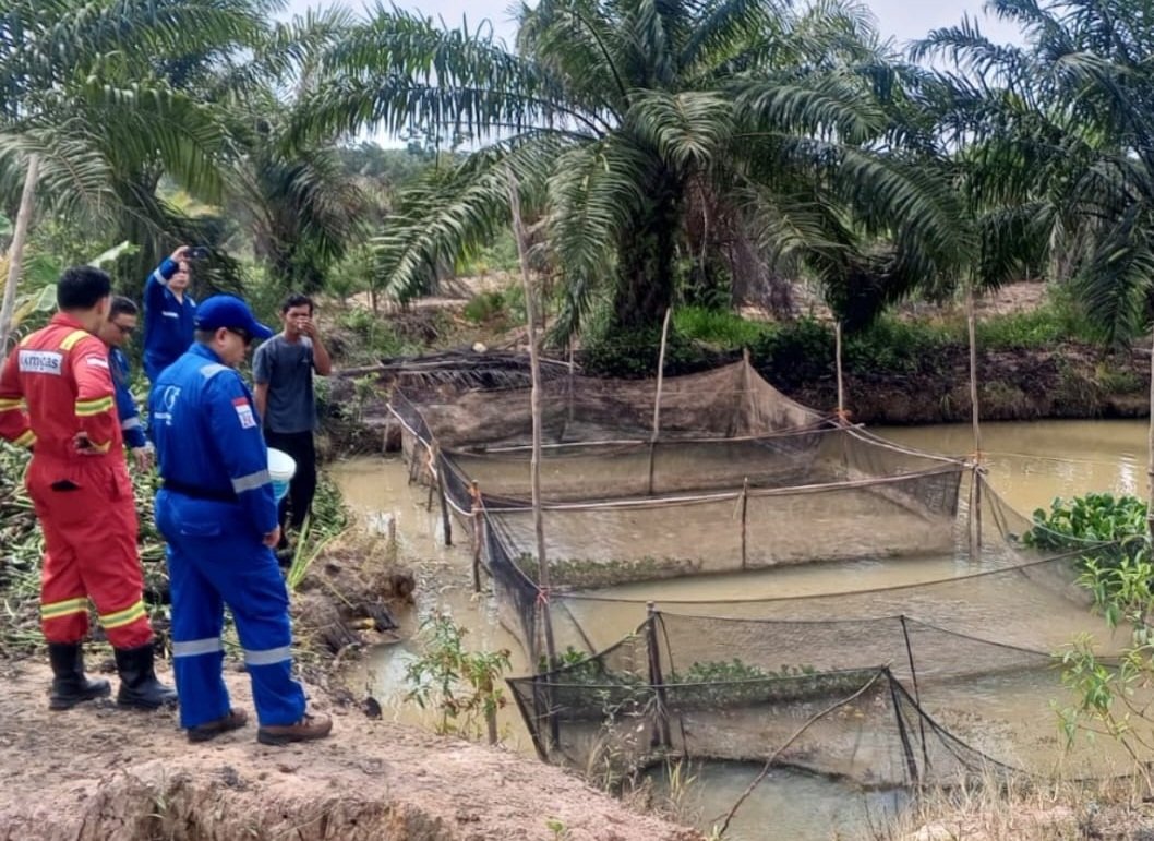 Program LBD Medco E&P Perkuat Usaha Budidaya Lele di Desa Suka Maju