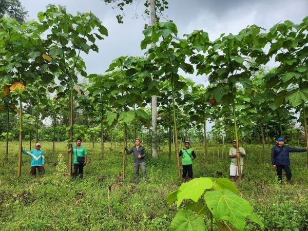 AI dan Drone Percepat Pemulihan Lahan Kritis di Indonesia