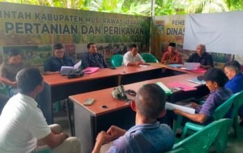 Kredit Fiktif Rp760 M PT BSS, Perpanjang Derita Petani Plasma Muratara