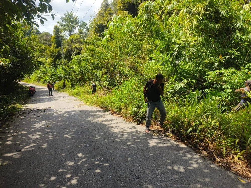 Sekretaris Mamanamur dan Warga Kayauni Gotong Royong Bersihkan Jalan Sambut Rombongan Bupati dan Tamu Nasional