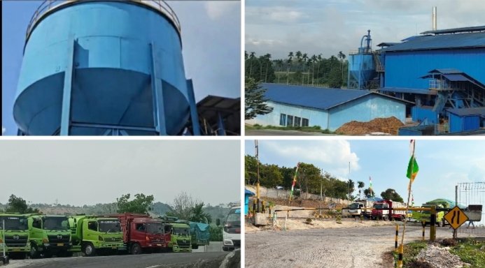 PT Agro Gading Sejahtera (AGS) Nadi Ekonomi Baru di Bumi Serasan Seandanan