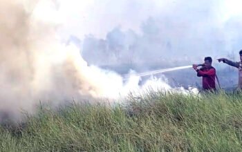 15 Hektare Lahan Terbakar di Ogan Ilir, Tim Gabungan Berjibaku Jinakkan Api