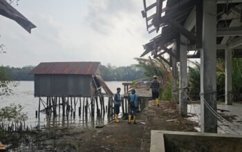 Jangkau 7.737 KK, PLN Siapkan PLTS Komunal di 12 Desa Terpencil Sumsel