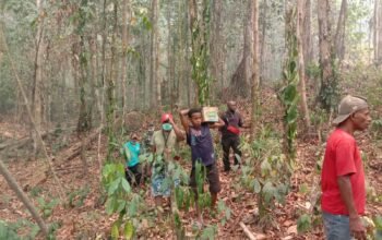 Cegah Api Meluas, Kepala Distrik Kayauni Bersama Warga dan Satgas Karhutla Buka Jalur Sekat Api