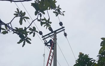 Jaga Keandalan Listrik, PLN Mukomuko Ganti Isolator Jaringan di Penarik