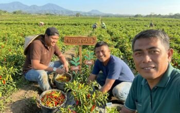 LPPNU Pagaralam Siapkan Program Pemberdayaan Petani Nahdliyin, Bidik Penguatan Lumbung Pangan