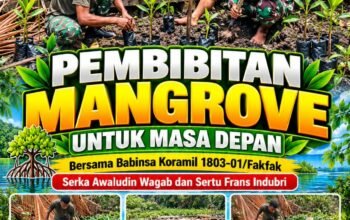 Lestarikan Lingkungan, Babinsa Kodim 1803/Fakfak Laksanakan Pengokeran Bibit Mangrove Di Kampung Air Besar