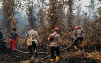 Gerak Cepat Padamkan Karhutla, Brimob dan Polsek Lais Sisir Wilayah Rawan Api