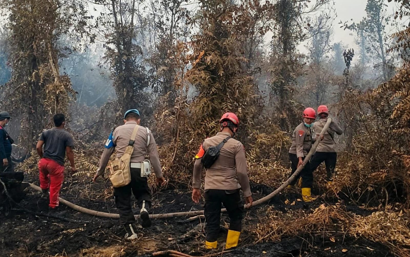 Gerak Cepat Padamkan Karhutla, Brimob dan Polsek Lais Sisir Wilayah Rawan Api