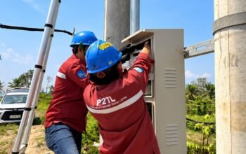 Lewat Electrifying Marine, PLN Dorong Produktivitas Usaha Tambak di Kaur dengan Listrik 197.000 VA