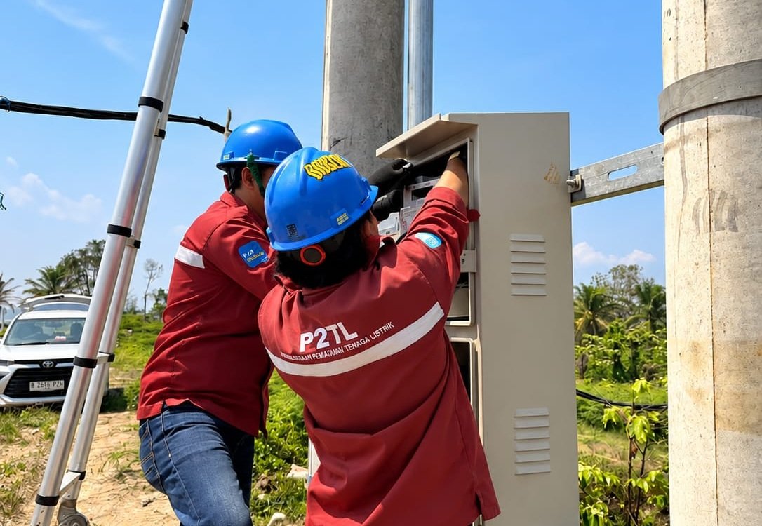 Lewat Electrifying Marine, PLN Dorong Produktivitas Usaha Tambak di Kaur dengan Listrik 197.000 VA